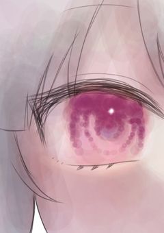 五条家の家出少女、ヒーロー科に居た件。説明