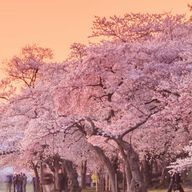 ななさんのアイコン画像