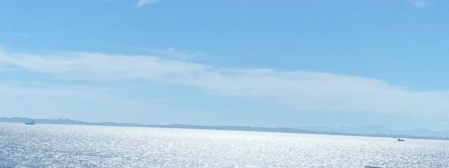 冴花さんの壁紙画像