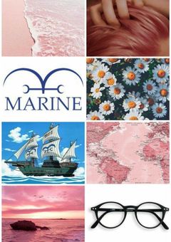 海軍将校の夢は諦めます、、、