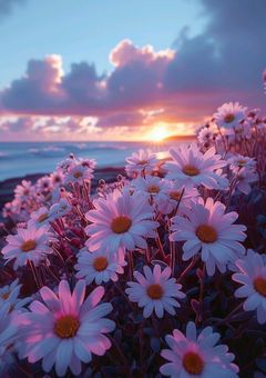 君と僕の永遠の恋