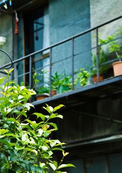 今日から私が管理人です！