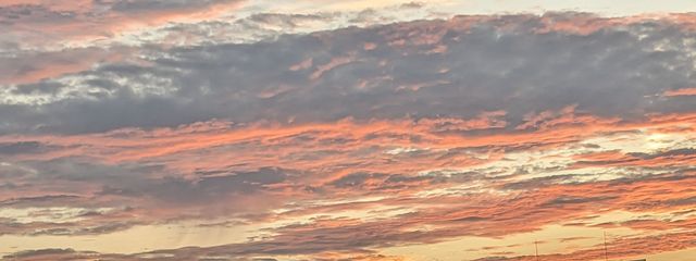 ゆうさんの壁紙画像