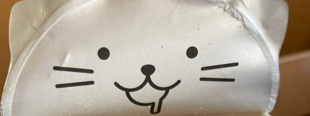 ピノさんの壁紙画像