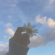 🍡ODANGO -お団子🍡さんのアイコン画像