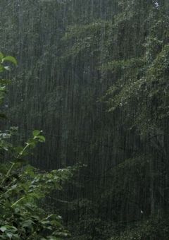 雨の日には