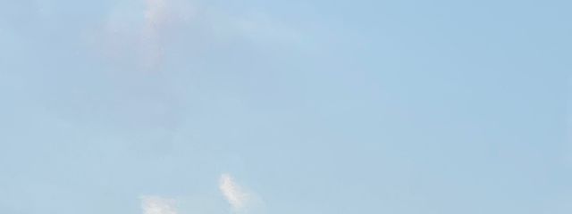 読み専さんの壁紙画像