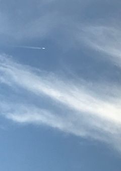 推しが小さくなって目の前に⁉︎