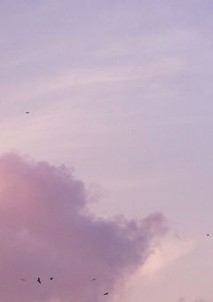 　𓈒𓍯　ₜₐₗₖ ᵣₒₒₘ  𓈒𓋜