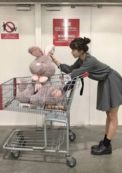 なにわの紅一点は西畑の姉で長尾担でした。