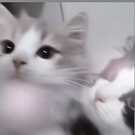 🩵さんのアイコン画像