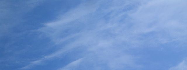 星野新月さんの壁紙画像