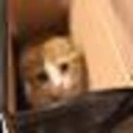 si-ra👼💉鬱病患者さんのアイコン画像