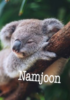 それぞれのかたち番外🐨