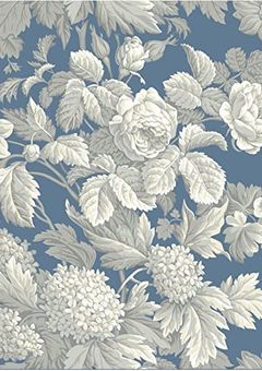 くろのわの3人目は男装女子