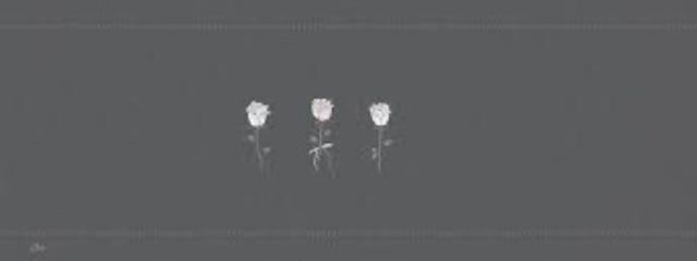 snow🫧さんの壁紙画像