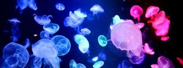 △のん▼さんの壁紙画像