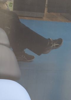  お れ の ば か な に っ き 