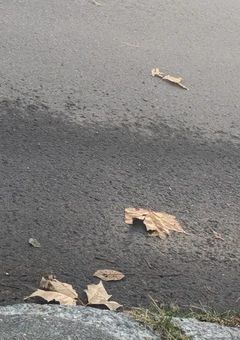 　# R e f l e c t i o n