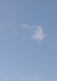 推しが担任になりました。