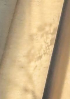 ダ ン ボ ー ル 男 子 、 拾 い ま し た 。