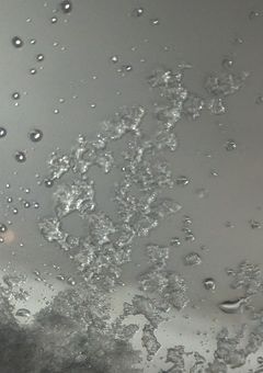 美 術 室 で 踊 り ま し ょ 、