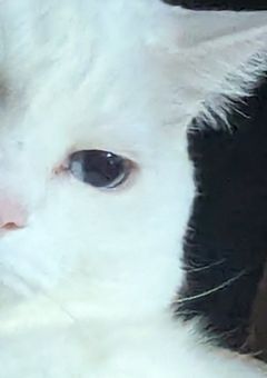 僕 の 職 業 は 殺 し 屋