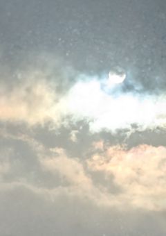  少 し わ が ま ま な リ ー ダ ー く ん 。