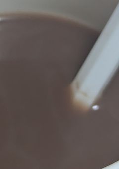 最 年 長 は 、 猫 で 犬 で 少 し 兎 。