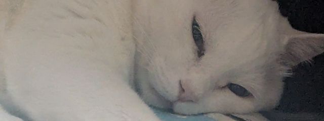 想良 .さんの壁紙画像