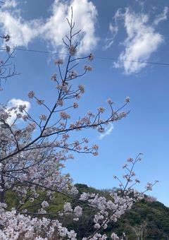 小説  参加プロフィール