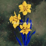 うまさんのアイコン画像