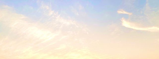 ほちさんの壁紙画像