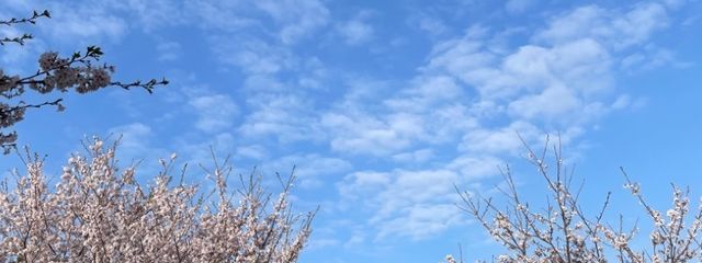 まーなさんの壁紙画像