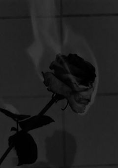 自由になりたい