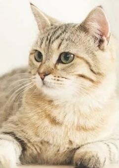 あなたに惚れて