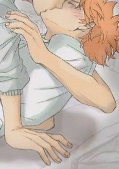 うちの日向は愛されてます