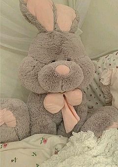 🧸お　友　達　さ　が　し🩰