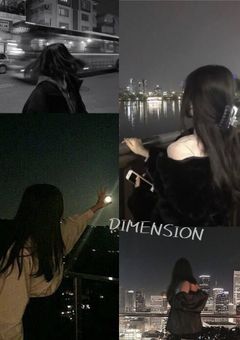 DIMENSION 活動報告
