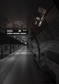 死 ぬ ま で に や り た い 100 の こ と