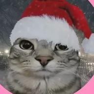 ひじきの伝説さんのアイコン画像