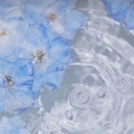 💎𖤐  ̖́-‬さんのアイコン画像