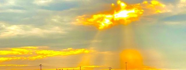 ゆっきーさんの壁紙画像