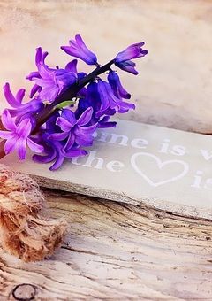 「拝啓。君に」～初恋はだいたい片恋～