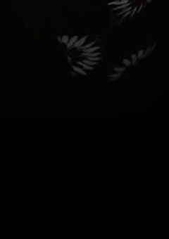 変態しかいない高校