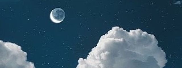 toriさんの壁紙画像