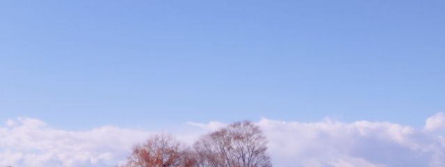 芽さんの壁紙画像