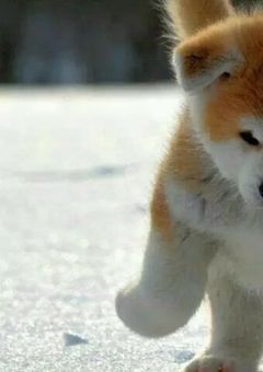 ふたり