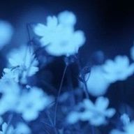 高菜@成人済さんのアイコン画像