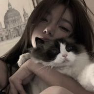 月 華さんのアイコン画像